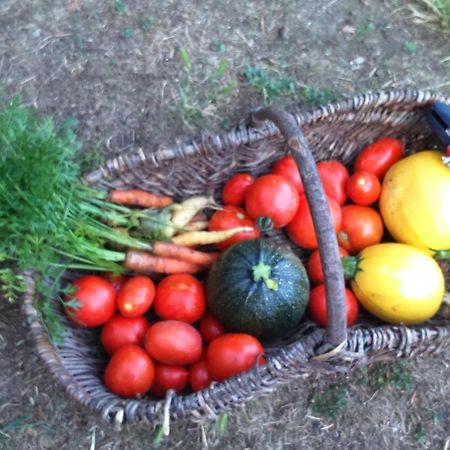 Le Manoir De Crisolles Panzió Kültér fotó