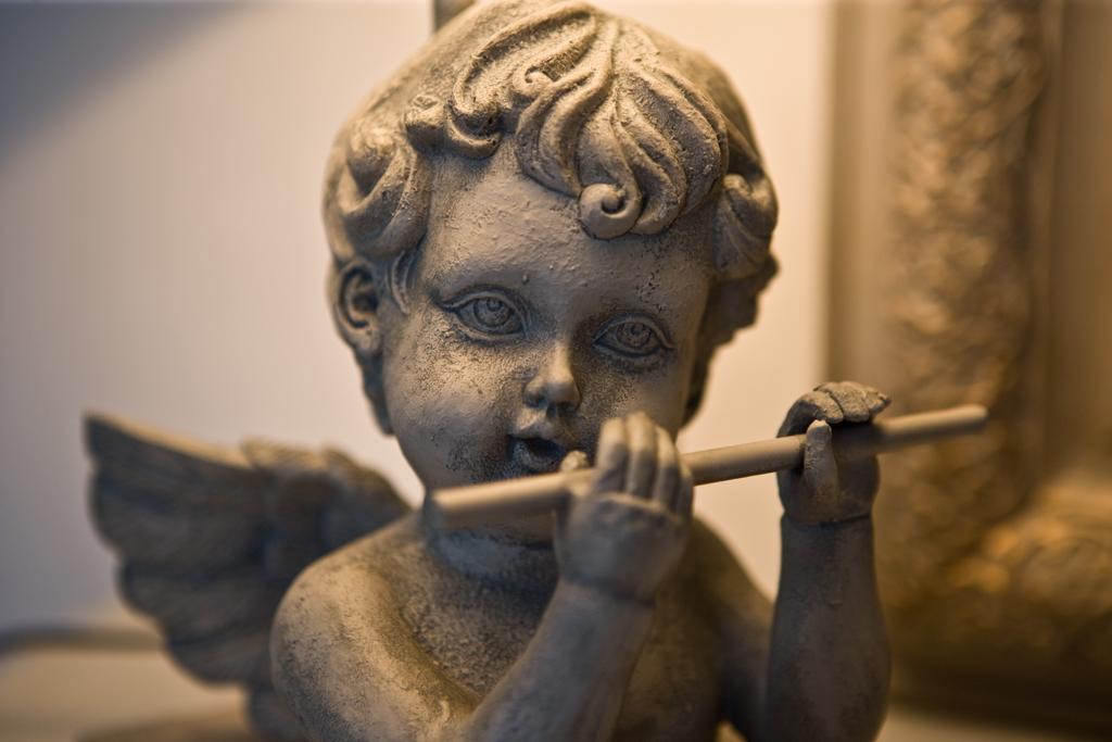 Le Manoir De Crisolles Panzió Kültér fotó